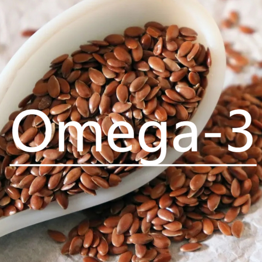 Best Anti-Aging Nutrients for Dogs: From Omega-3s to NAD+