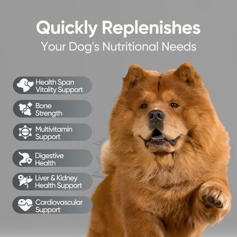 Domi Tail Supplement MitoX Formula for Senior Dogs