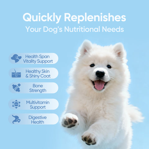 Domi Tail Supplement MitoX Formula for Puppies