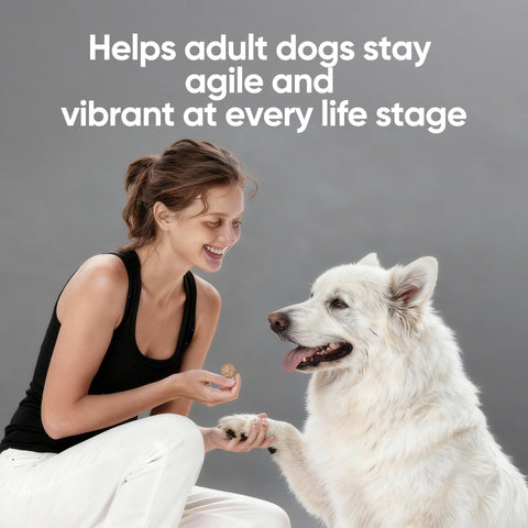 Domi Tail Supplement MitoX Formula for Senior Dogs