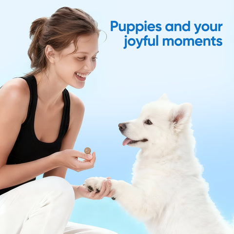 Domi Tail Supplement MitoX Formula for Puppies