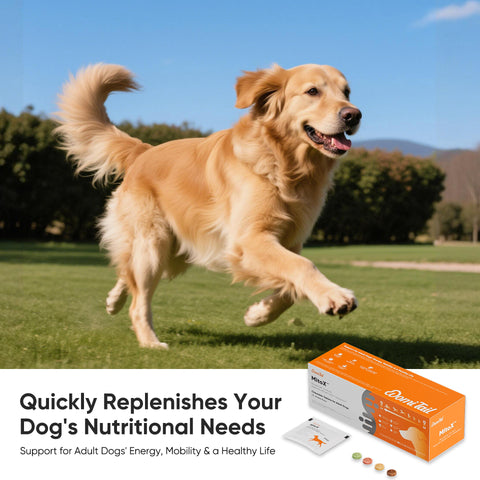 Domi Tail Supplement MitoX Formula for Adult Dogs