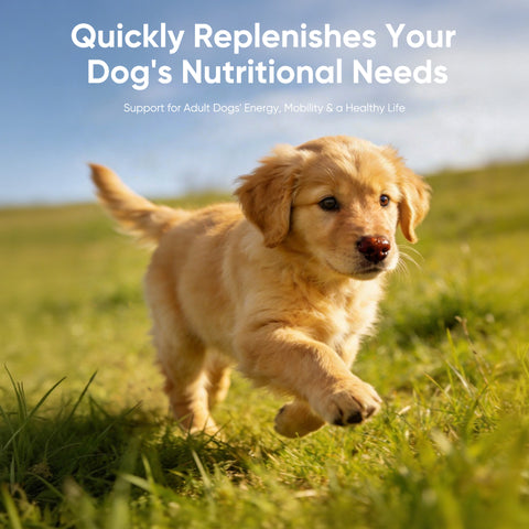 Domi Tail Supplement MitoX Formula for Puppies