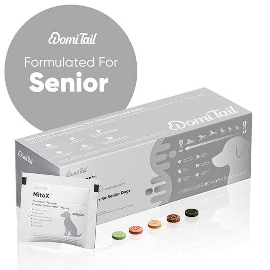 Domi Tail Supplement MitoX Formula for Senior Dogs