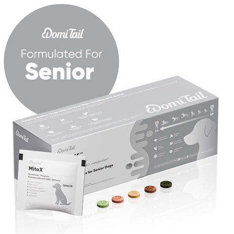 Domi Tail Supplement MitoX Formula for Senior Dogs