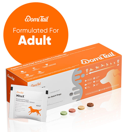 Domi Tail Supplement MitoX Formula for Adult Dogs