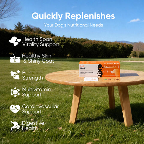 Domi Tail Supplement MitoX Formula for Adult Dogs