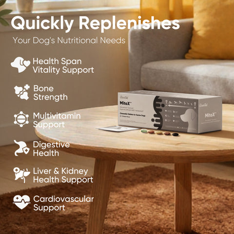 Domi Tail Supplement MitoX Formula for Senior Dogs
