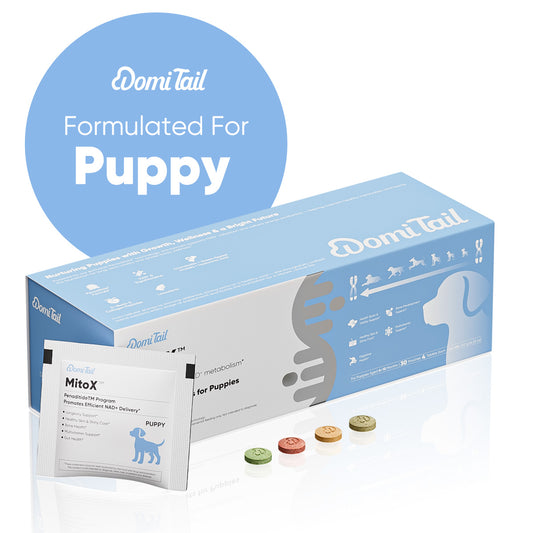 Domi Tail Supplement MitoX Formula for Puppies