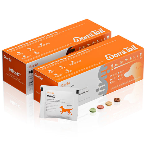 Domi Tail Supplement MitoX Formula for Adult Dogs