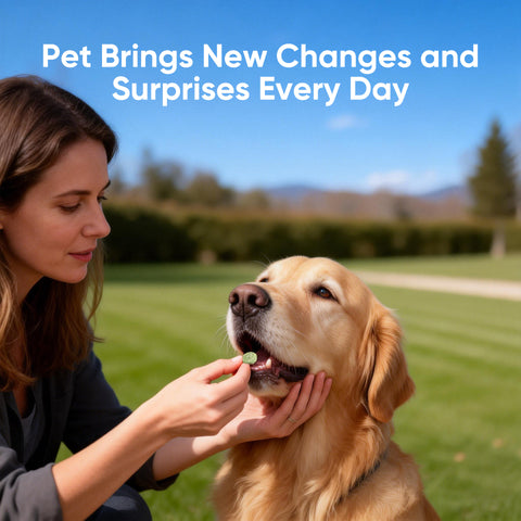 Domi Tail Supplement MitoX Formula for Adult Dogs