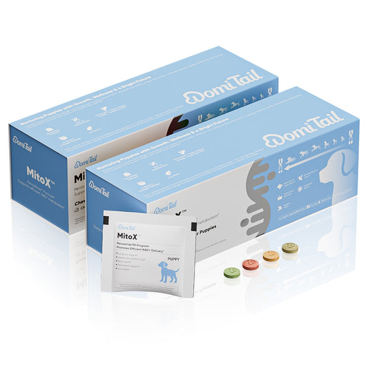 Domi Tail Supplement MitoX Formula for Puppies