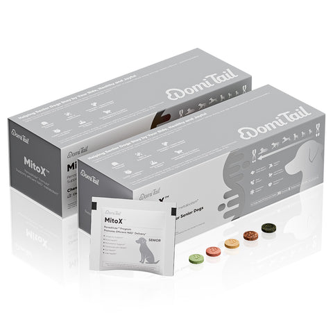 Domi Tail Supplement MitoX Formula for Adult Dogs