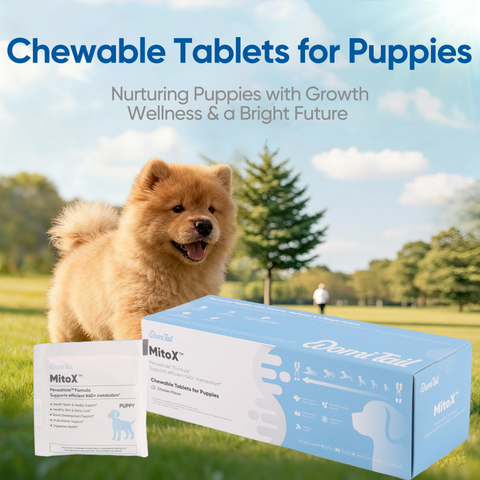 Domi Tail Supplement MitoX Formula for Puppies