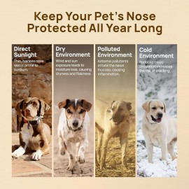 HICC PET Dog Nose Balm - Soothes Repairs Moisturizes Dry Cracked Nose - Dog & Cat Snout Soother Butter Balm with Essential Oil​ - All Natural & Lick Safe - Dog's Nose Daily Care & Protection