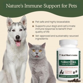 Turkey Tail Pet Support - Dog Multivitamins and Supplements for Immune Support, Gut Health Wellness Grain-Free, Gluten-Free, Vet-Approved Supplement 90ct