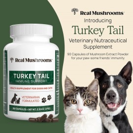 Turkey Tail Pet Support - Dog Multivitamins and Supplements for Immune Support, Gut Health Wellness Grain-Free, Gluten-Free, Vet-Approved Supplement 90ct