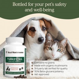 Turkey Tail Pet Support - Dog Multivitamins and Supplements for Immune Support, Gut Health Wellness Grain-Free, Gluten-Free, Vet-Approved Supplement 90ct