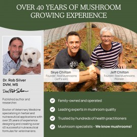 Turkey Tail Pet Support - Dog Multivitamins and Supplements for Immune Support, Gut Health Wellness Grain-Free, Gluten-Free, Vet-Approved Supplement 90ct