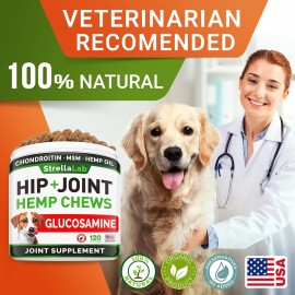 Hemp Treats - Glucosamine Dog Joint Supplement + Omega 3 - w/Hemp Oil - Chondroitin, MSM - Advanced Mobility Chews - Joint Pain Relief - Hip & Joint Care - Chicken Flavor - 120 Ct - Made in USA