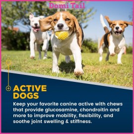 Domi Tail Hip & Joint Supplement for Dogs – Advanced Mobility Support – Glucosamine Chondroitin MSM & Turmeric – 120 Delicious Joint Care Chews – Vet-Recommended for All Breeds & Ages