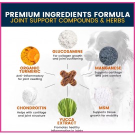 Domi Tail Hip & Joint Supplement for Dogs – Advanced Mobility Support – Glucosamine Chondroitin MSM & Turmeric – 120 Delicious Joint Care Chews – Vet-Recommended for All Breeds & Ages