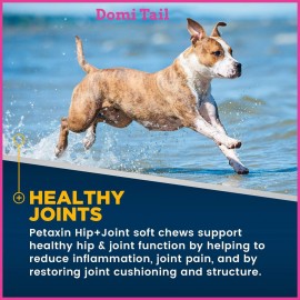 Domi Tail Hip & Joint Supplement for Dogs – Advanced Mobility Support – Glucosamine Chondroitin MSM & Turmeric – 120 Delicious Joint Care Chews – Vet-Recommended for All Breeds & Ages